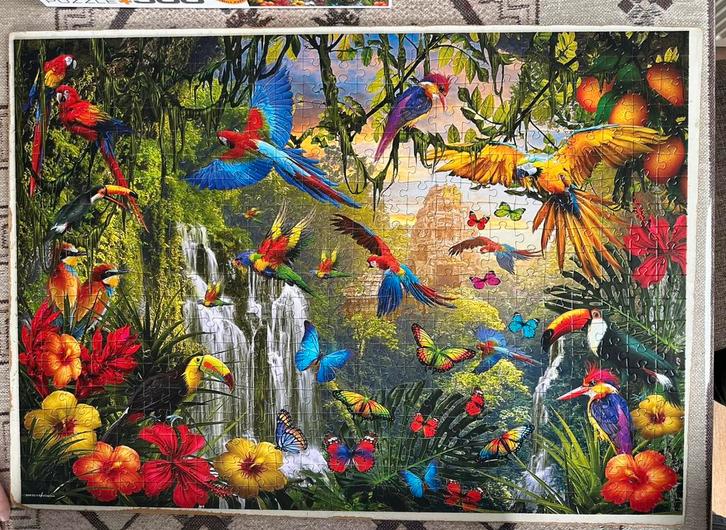 500 XL puzzel Eurographics - Tropical Bird Paradise - zgan!, Hobby en Vrije tijd, Denksport en Puzzels, Zo goed als nieuw, Legpuzzel