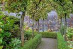 95 meter buxus haag, Ophalen, Bloeit niet, Overige soorten, Volle zon