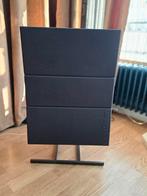 Bang & Olufsen Beosound speakers - Model 6513, Ophalen, Gebruikt, Front, Rear of Stereo speakers, Overige merken