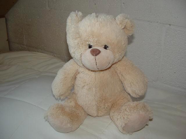 EDDY TOYS BEER PLUCHE LANGHARIG ECRU MET VELOURS CREMKLEURIG, Kinderen en Baby's, Speelgoed | Knuffels en Pluche, Zo goed als nieuw