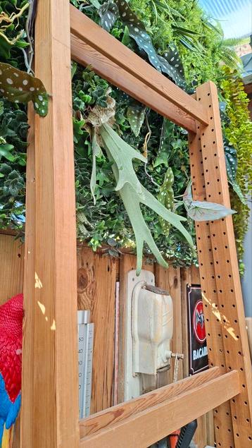Ikea kast Ivar - afbeelding 4