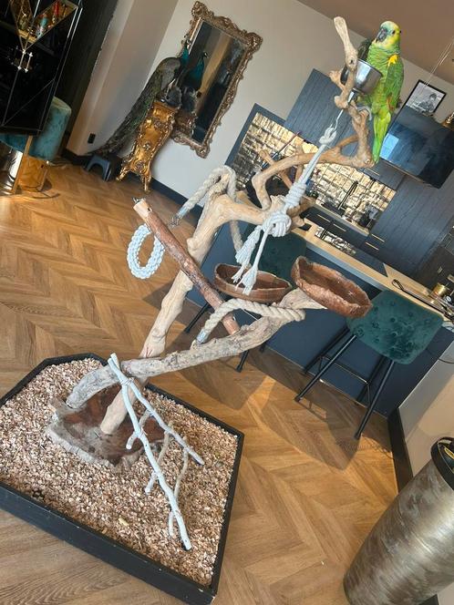 Javaboom  GERESERVEERDjava  papegaai vogel amezone kaketoe, Dieren en Toebehoren, Vogels | Toebehoren, Gebruikt, Speelgoed, Ophalen