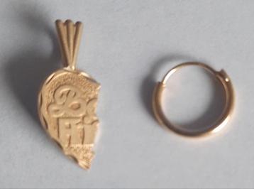Gouden oorbelletje en gouden hangertje beide 14 Karaat beschikbaar voor biedingen