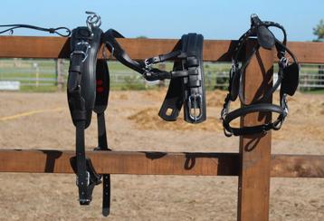 Te koop nieuw shetlander mentuig
Zwart  beschikbaar voor biedingen