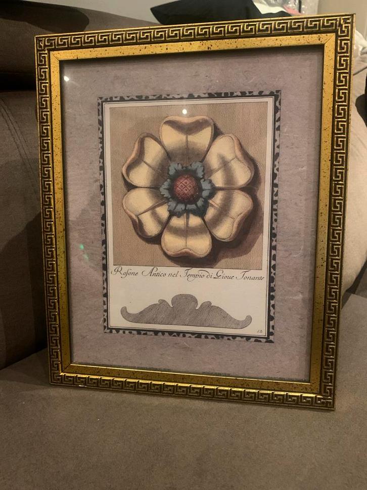 Gegraveerde bloem in gouden lijst, Antiek en Kunst, Kunst | Etsen en Gravures, Ophalen of Verzenden