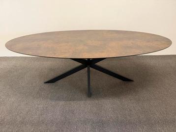 Ovale eettafel HPL roest print 240x120 beschikbaar voor biedingen