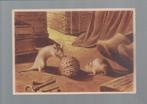 2940 Oude kunstkaart dieren muizen muis, Verzamelen, Ansichtkaarten | Dieren, Ongelopen, Knaagdier, Verzenden