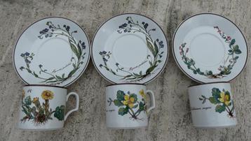 BOTANICA Villeroy & Boch Kommen Kop + schotel beschikbaar voor biedingen