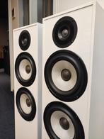 Pylon pearl 25, Audio, Tv en Foto, Overige merken, Gebruikt, Ophalen of Verzenden, Minder dan 60 watt