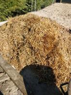 Gratis paardenmest, Ophalen of Verzenden