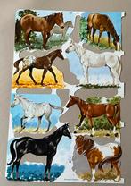 Diverse vellen poesieplaatjes met paarden, Ophalen of Verzenden