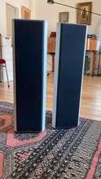 Driade model 7 luidsprekers, nette staat, Ophalen, Zo goed als nieuw, Front, Rear of Stereo speakers, Overige merken