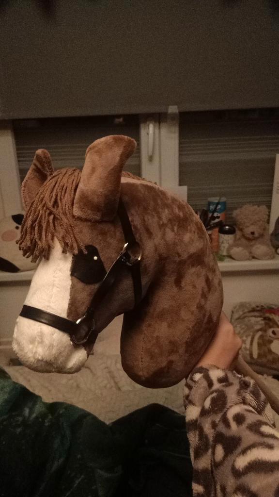 BBS Hobbyhorse tekoop!, Hobby en Vrije tijd, Overige Hobby en Vrije tijd, Zo goed als nieuw, Ophalen of Verzenden