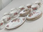 Colclough antiek servies set Indian Tree-patroon jaren 50, Ophalen of Verzenden