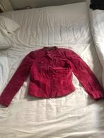 Suede biker jas fuchsia xs, Ophalen of Verzenden, Gedragen, Maat 34 (XS) of kleiner, Roze