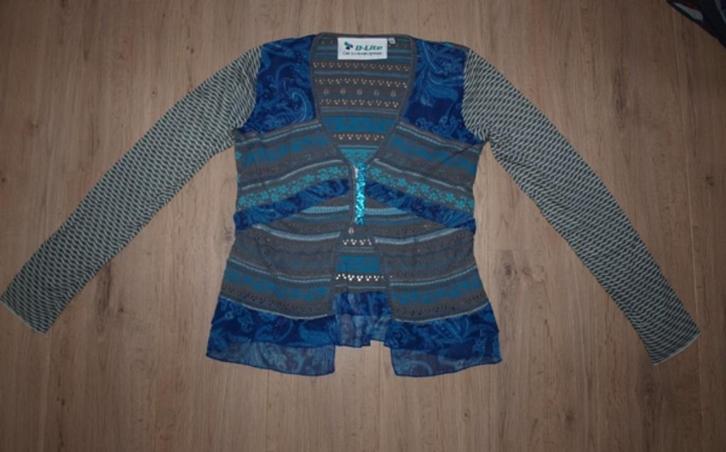 Blauw met Grijs Vestje D-Lite (M), Kleding | Dames, Truien en Vesten, Gedragen, Maat 38/40 (M), Blauw, Ophalen of Verzenden