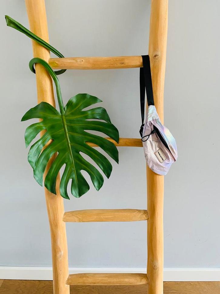 Tas/ tasje/ heuptas/ cross body/ bum bag/ fanny pack (Zara), Sieraden, Tassen en Uiterlijk, Tassen | Damestassen, Nieuw, Schoudertasje