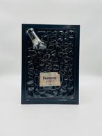 Hennessey Gebroken Fles Kunst Epoxy, Antiek en Kunst, Kunst | Schilderijen | Modern, Ophalen of Verzenden