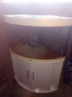 Jewel trigon hoekaquarium 190 liter met onderkast, Ophalen, Zo goed als nieuw, Leeg aquarium