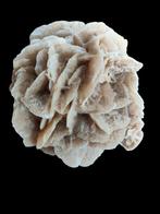 Fraai stuk woestijn roos, Verzamelen, Mineralen en Fossielen, Ophalen of Verzenden, Mineraal