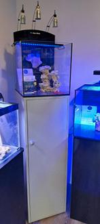 Aquamedic blenny custom meubel, Ophalen, Zo goed als nieuw