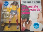 Het puberende brein en het sociale brein v d puber., Eveline Crone, Ophalen of Verzenden, Ontwikkelingspsychologie, Zo goed als nieuw