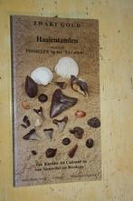 Haaientanden fossielen Knokke Cadzand Nieuwvliet Breskens, Ophalen of Verzenden, Gelezen, Natuur algemeen