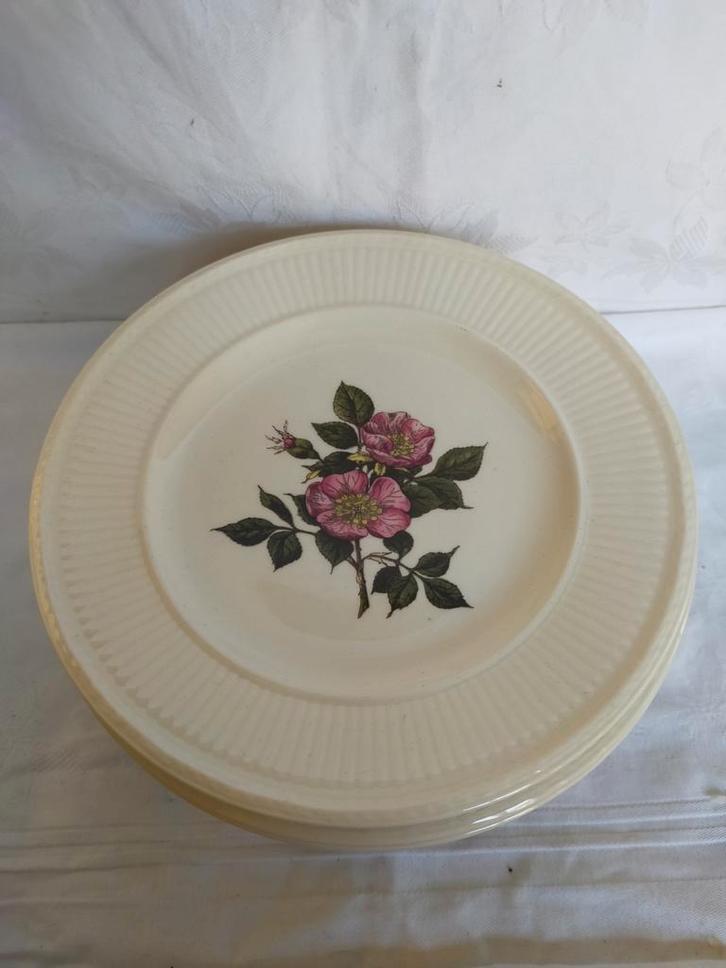 11 gebak of taart schoteltjes, Briar rose, doorsnede 16 cm, Antiek en Kunst, Antiek | Servies los, Ophalen of Verzenden