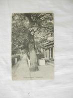 Ansichtkaart Schiermonnikoog Langestreek, Verzenden, 1920 tot 1940, Gelopen, Friesland