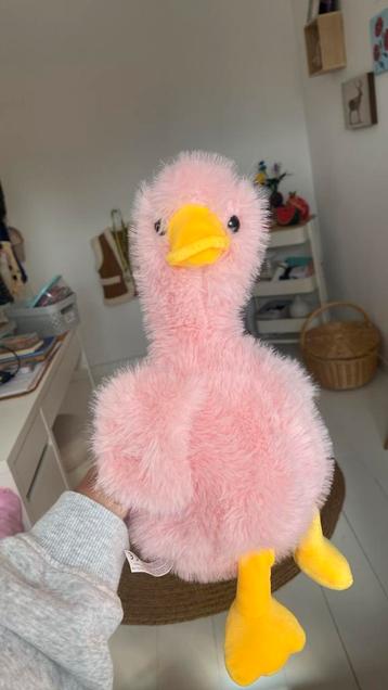 Schattige zwaan roze beschikbaar voor biedingen