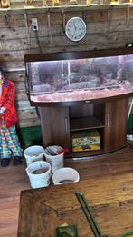 Juwel vision 450, Dieren en Toebehoren, Vissen | Aquaria en Toebehoren, Ophalen, Zo goed als nieuw, Gevuld zoetwateraquarium