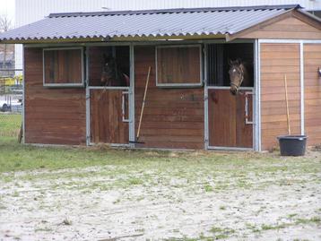 buitenstallen paarden beschikbaar voor biedingen