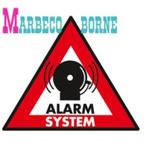 Alarm stickers "Alarm systeem" 5 stuks