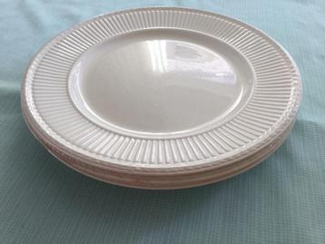 Wedgwood Edme 3 dinerborden ca 26cm doorsnede antiek  beschikbaar voor biedingen