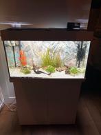 Aquarium (juwel Rio 125) incl. Accessoires en vissen, Dieren en Toebehoren, Vissen | Aquaria en Toebehoren, Ophalen, Zo goed als nieuw