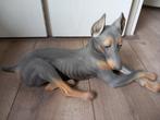 Mooie doberman van porselein, Ophalen of Verzenden, Zo goed als nieuw, Beeldje of Figuurtje
