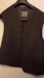 Gillet heren, Kleding | Heren, Ophalen of Verzenden, Zo goed als nieuw