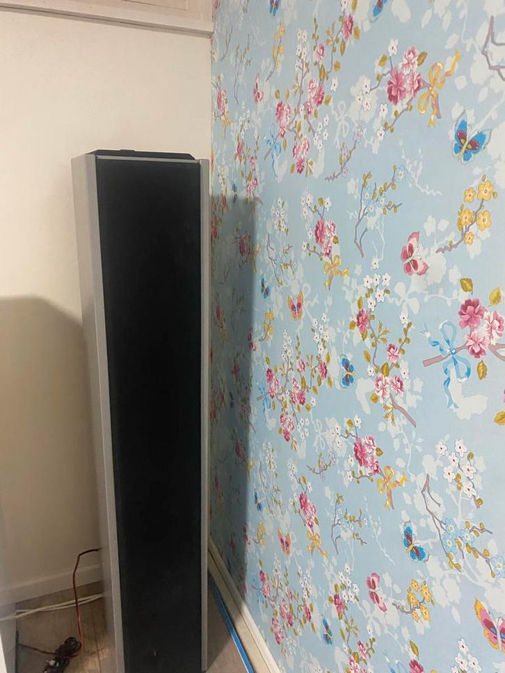 Piedpiper Luidsprekers - Topgeluid!, Audio, Tv en Foto, Luidsprekers, Gebruikt, Front, Rear of Stereo speakers, 60 tot 120 watt