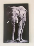 Groot canvas olifant 75x115 cm zwart wit, Ophalen of Verzenden, Zo goed als nieuw