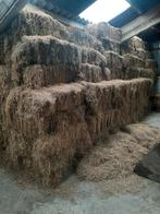 Hooi kleine baaltjes., Dieren en Toebehoren, Ophalen of Verzenden, Vee