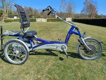 Van Raam Easy Rider Type 2 beschikbaar voor biedingen