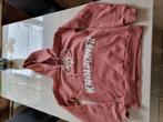 Hoodie Knolpower maat xs, Ophalen of Verzenden, Zo goed als nieuw, Maat 34 (XS) of kleiner, Roze