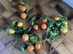 Mooi decoratie fruit, Huis en Inrichting, Ophalen of Verzenden, Zo goed als nieuw