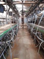 Melkstal Westfalia/GEA 2x10, Dieren en Toebehoren, Stalling en Weidegang, Toebehoren