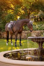 LeMieux Suede Spring CC dekje Grijs UITVERKOOP, Dieren en Toebehoren, Paarden en Pony's | Dekens en Dekjes, Ophalen of Verzenden