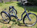 Driewieler voor volwassenen Trike versnellingen Eco-trike, Fietsen en Brommers, Fietsen | Driewielfietsen, Ophalen, Gebruikt, Eco Trike