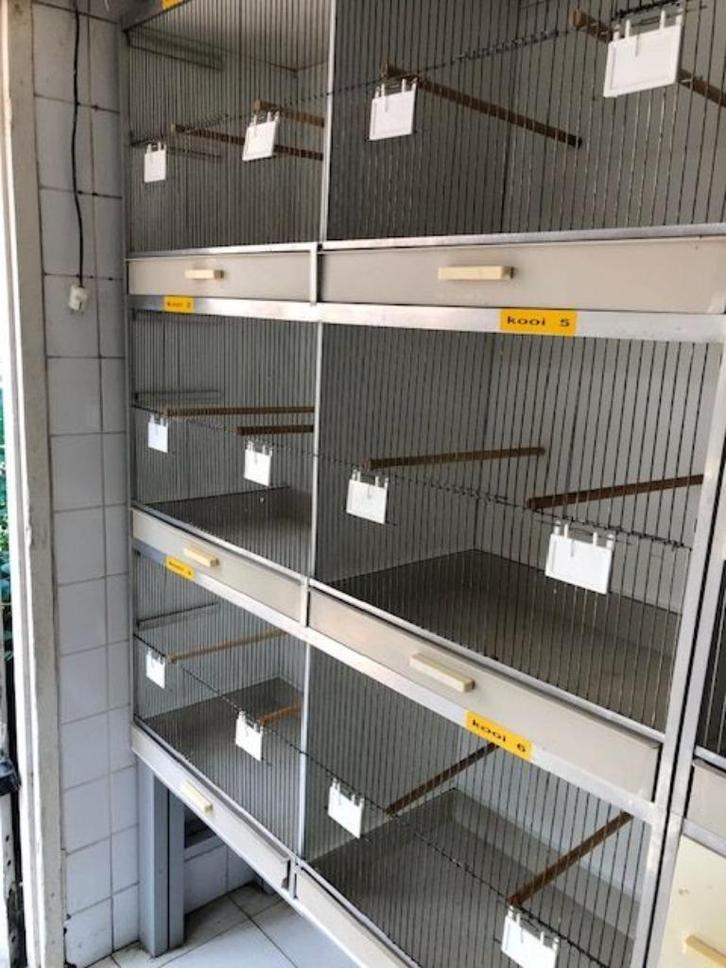 Gehu broedkooien + overjarige Engelse grasparkieten, Dieren en Toebehoren, Vogels | Hokken en Kooien, Gebruikt, Broedkooi of Kweekkooi