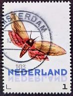 Janneke Brinkman: ligusterpijlstaart, Postzegels en Munten, Postzegels | Nederland, Verzenden, Na 1940, Gestempeld