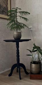 planten tafel bijzet tafel hal tafel brocante, Ophalen