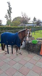 Fleecedeken shet/A pony, Ophalen of Verzenden, Zo goed als nieuw, Deken